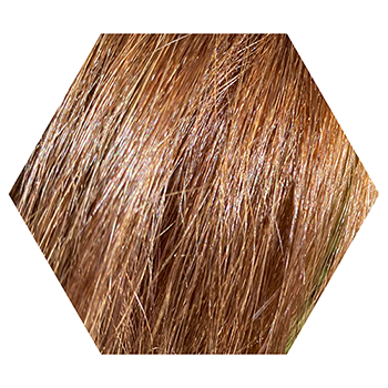 Hair Colour Almond Dark Blonde Wecolour