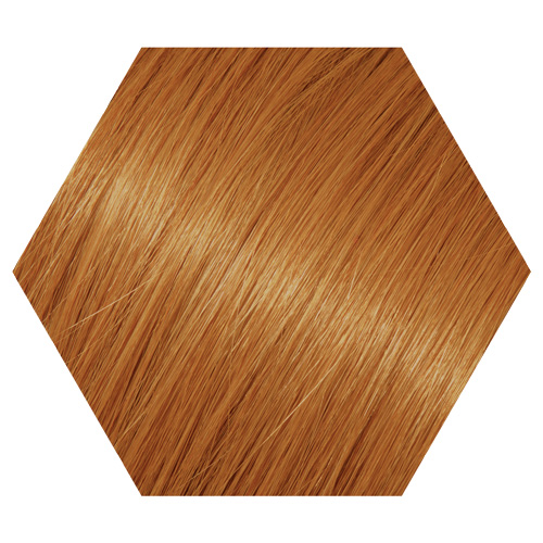 Echter Samenhangend Tolk Haarverf goud lichtblond 9.3 - WECOLOUR